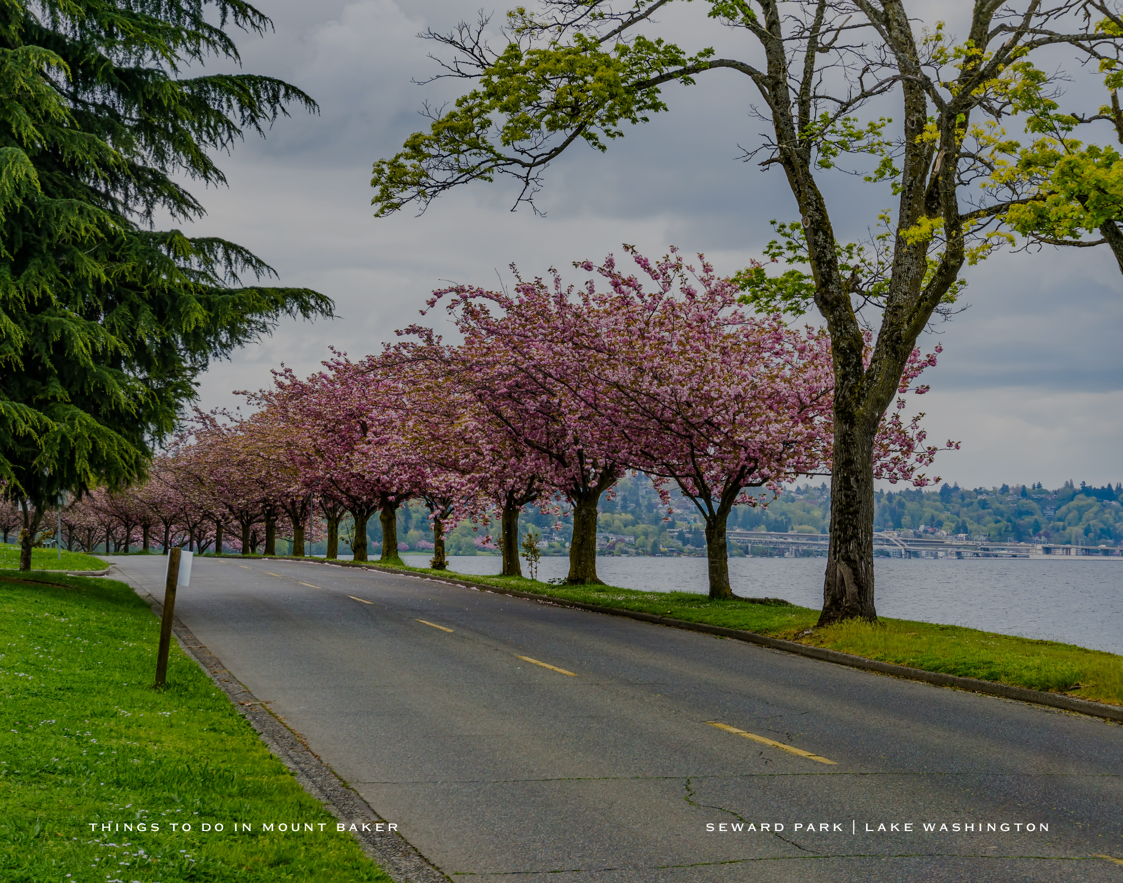 mount baker (1)